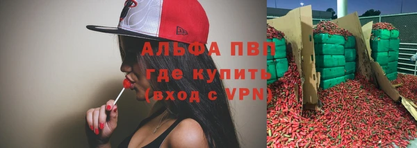 индика Балабаново