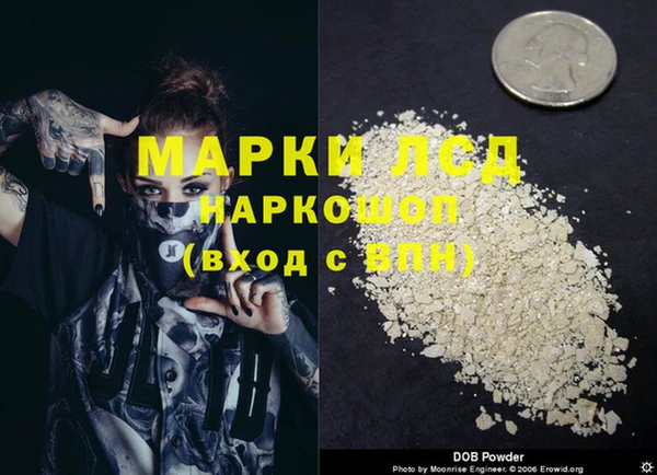 индика Балабаново