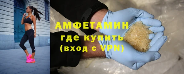 индика Балабаново