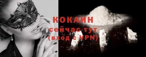 индика Балабаново