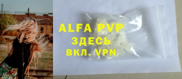индика Балабаново