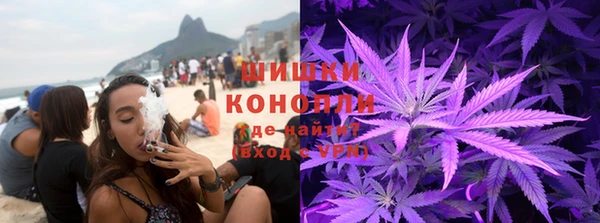 индика Балабаново