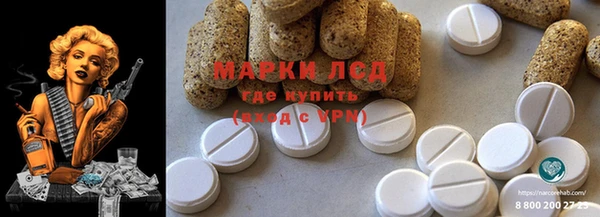 индика Балабаново