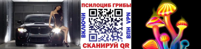 Галлюциногенные грибы мицелий  мега вход  Гвардейск 